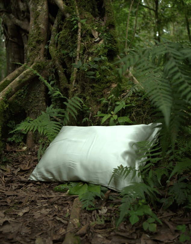 Mynt Lab - MyntFusion™ Mint-Infused Cooling Pillowcase (Twin-Pack)