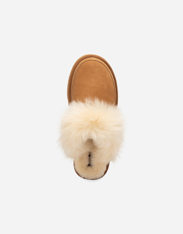 Ozwear Connection Uggs - UGG Daniela Premium Platform Slipper (Elastic Logo & Wool Strap – Detachable)