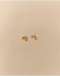 Trenery - Rava Stud Earrings in Gold