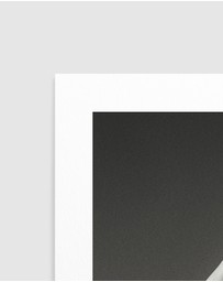 Olive et Oriel - Orchids Girl II Art Print