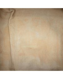 Pre-Loved by Azura Reborn - Pre-Loved GG Canvas Web Satchel