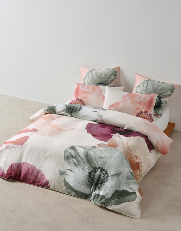 Linen House - Ellie European Pillowcase