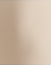 Miraclesuit Shapewear - Sleek Essentials High Waist Shaper Slip Skirt