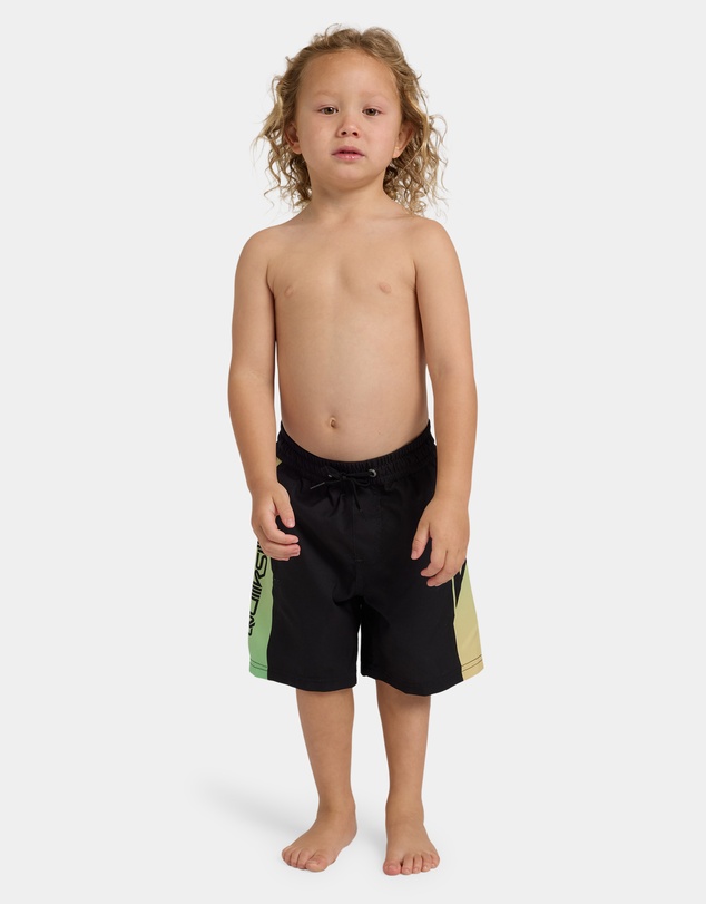 Quiksilver - Boys 2 to 7 Everyday Holmes 13