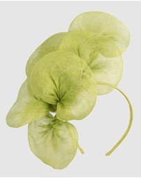 Max Alexander - Large Lilly Lime Flower Fascinator