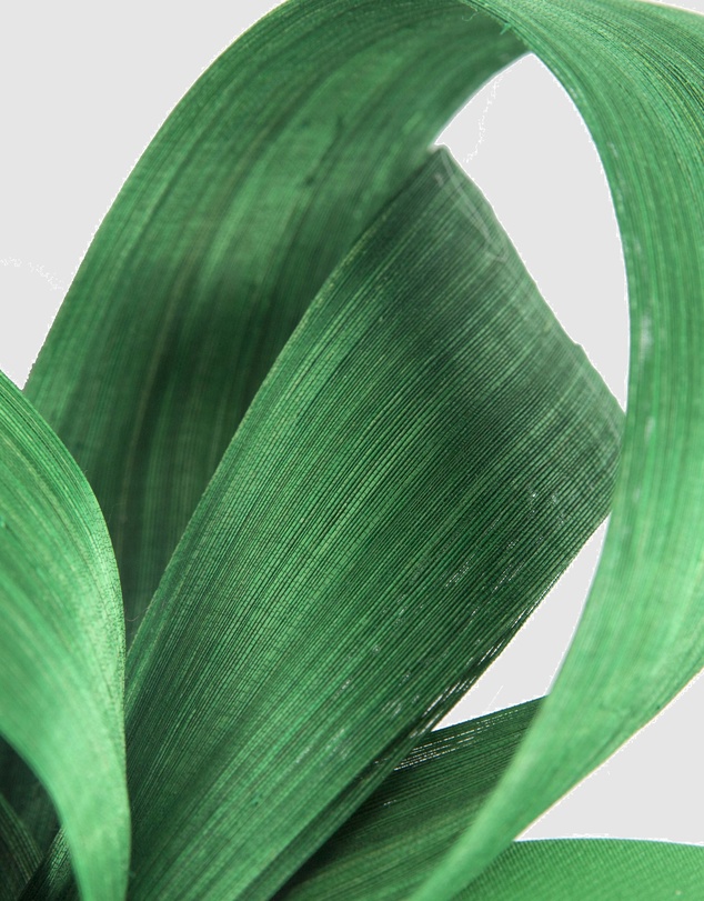 Fillies Collection - Green Silk Abaca Loops Racing Fascinator