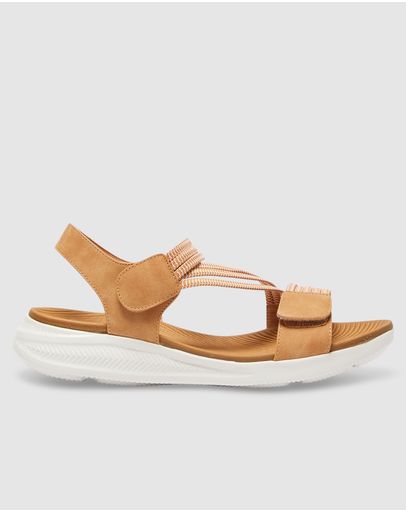 TAN MULTI