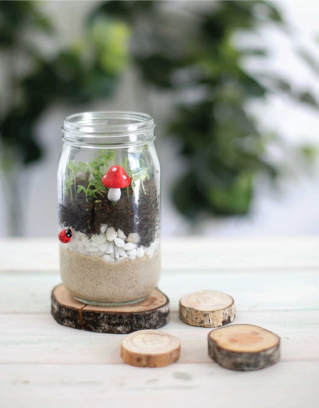 Poppy & Daisy - Mini Garden Kit