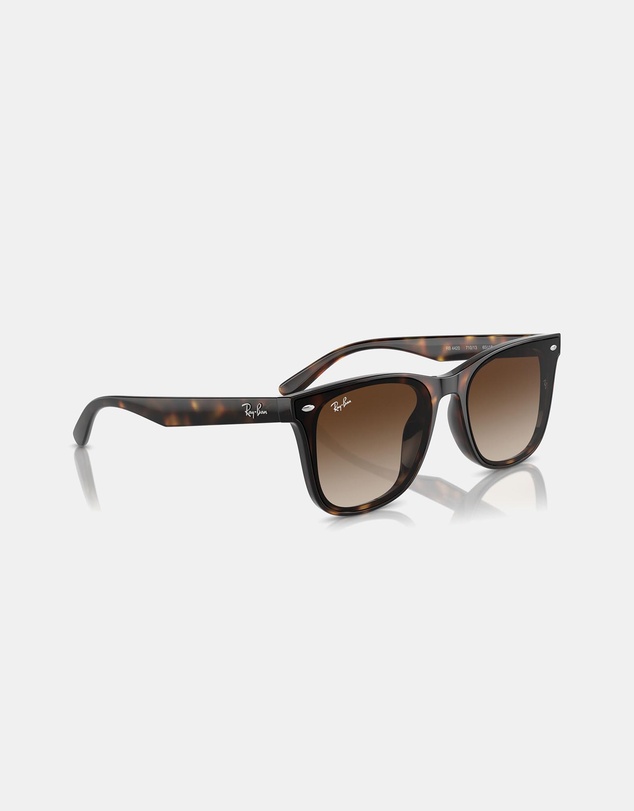 Ray-Ban - 0RB4420