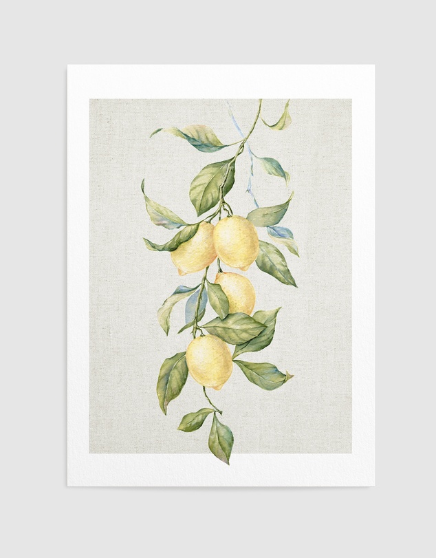 Olive et Oriel - Lemons on Linen II