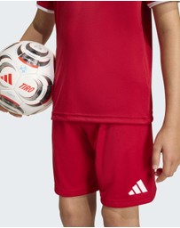 adidas Performance - Entrada26 Football Shorts Kids