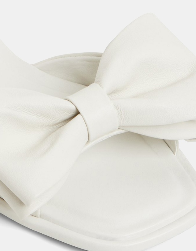 ALDO - Bowetta Ballerina & Flats