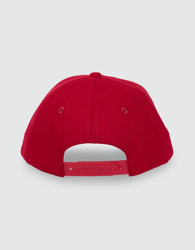Thrills - Make Em Tough 6 Panel Felt Cap