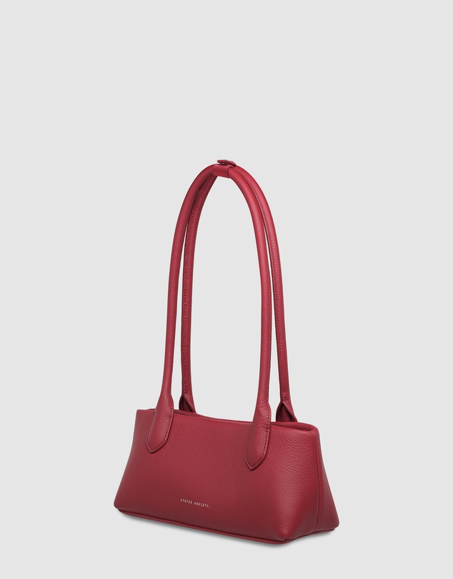 Status Anxiety - The Lost Bag