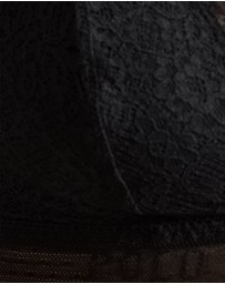 Polo Ralph Lauren - Love Collection Unpadded Triangle Lace Bralette