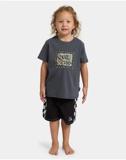 Quiksilver - Boys 2 to 7 Retro Stack T-Shirt