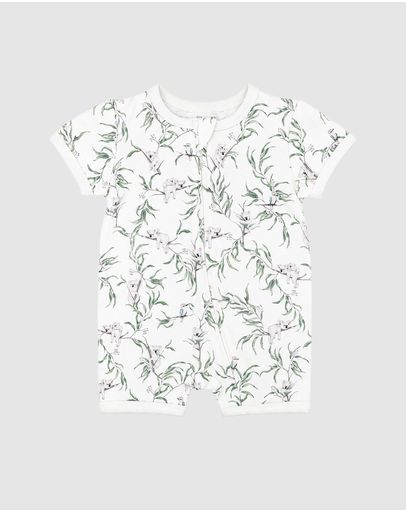 Taylor Print