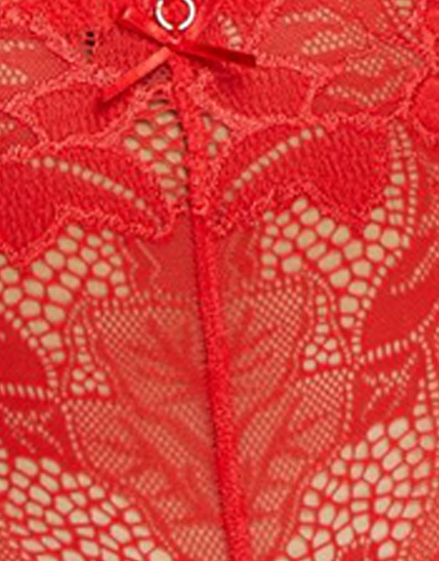 Sans Complexe - Arum Prima Mid Rise Sheer Stretch Lace Brief