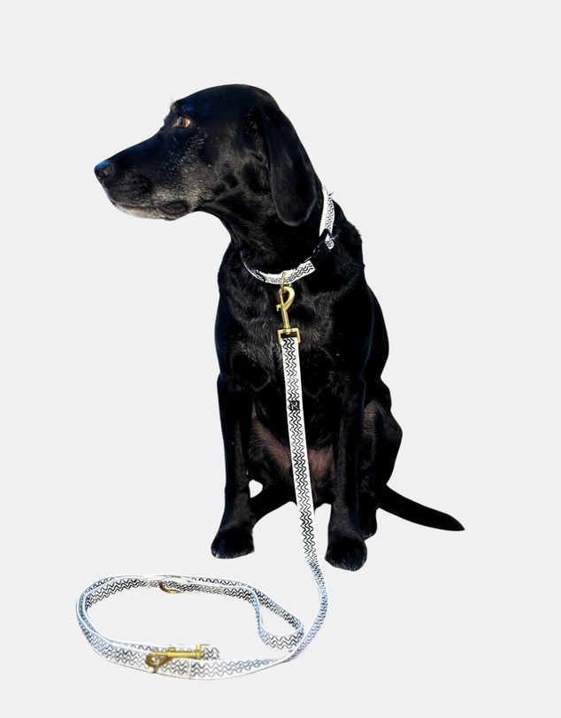 Mog & Bone - Multi-Function Hemp Dog Lead - Black Wave