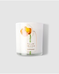 Palm Beach Collection - Tulipmania 420g Scented Candle
