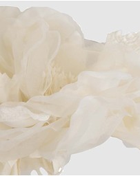 Fillies Collection - Large Cream Flowers Headband