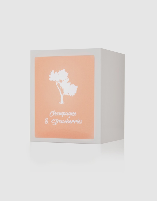 Silk Oil of Morocco - Champagne & Strawberries Luxe Natural Soy Candle