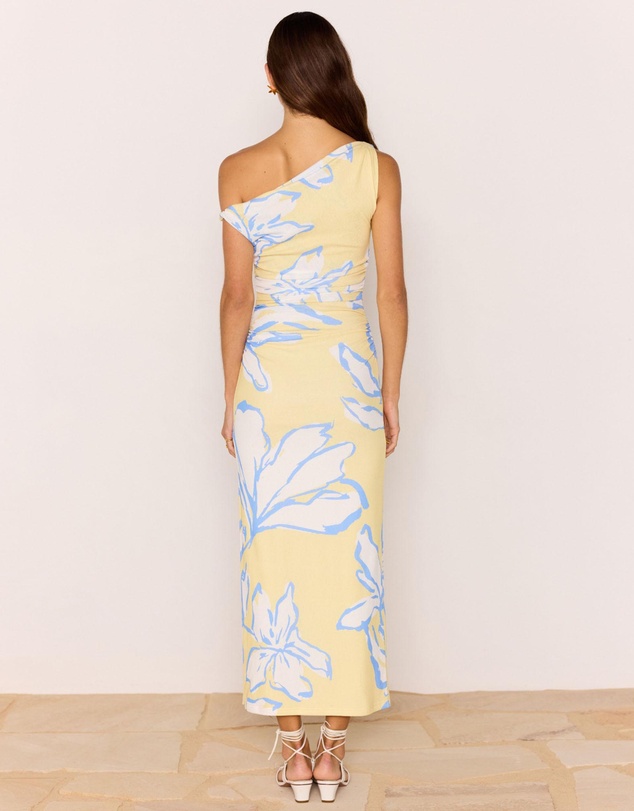 MINKPINK - Esme Asym Mesh Maxi Dress