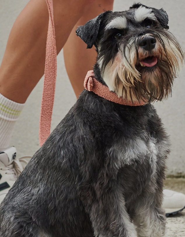 Lilly + Dash - Boucle Dog Leash 150cm Harness