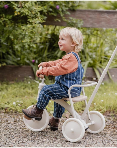 Fox & Finch - Wild Side Stripe Denim Overalls - Babies