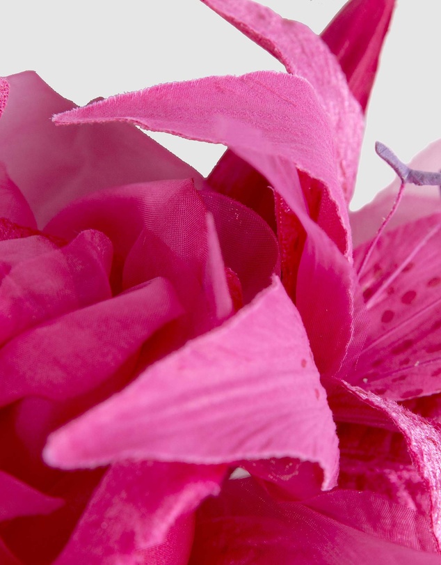 Max Alexander - Large Fuchsia Flower Headband Fascinator