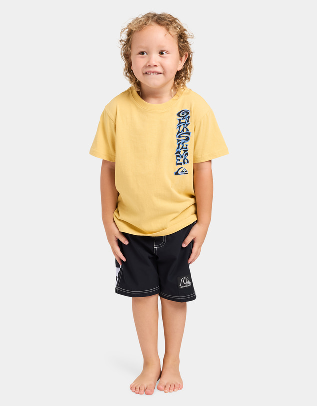 Quiksilver - Boys 2 to 7 Melted T-Shirt
