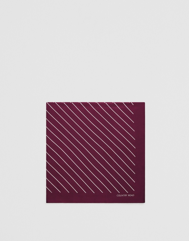 Country Road - Silk Stripe Scarf