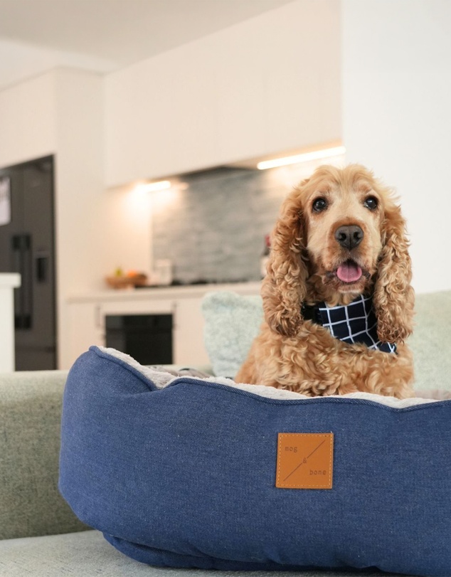 Mog & Bone - 4 Seasons Reversible Circular Dog Bed - Blue Denim