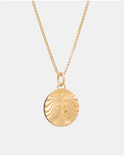 Rachel Jackson - Zodiac Art Coin Necklace Gemini