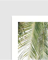 Olive et Oriel - Seaside Palm Art Print