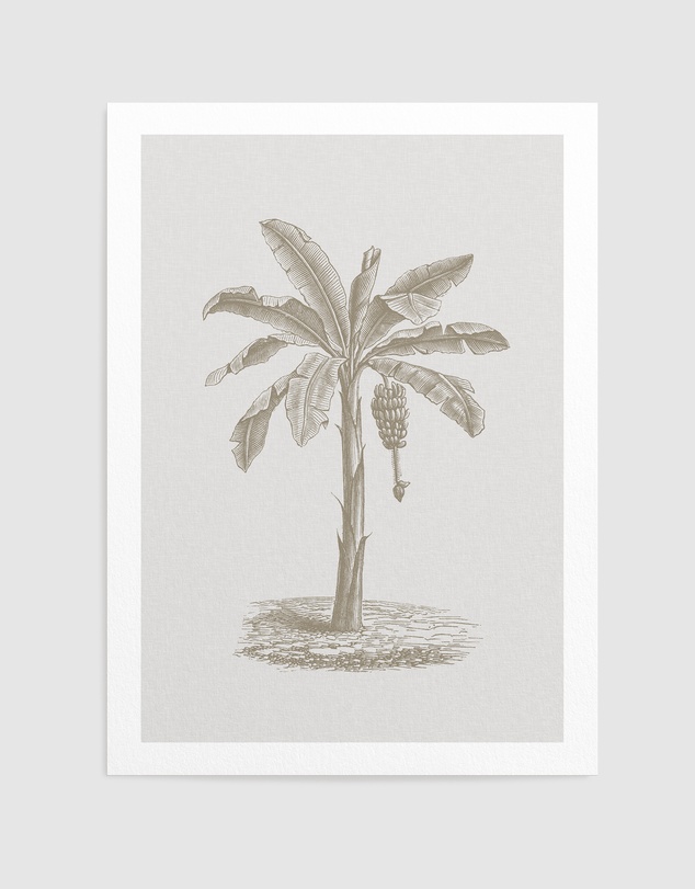 Olive et Oriel - Vintage Palm II Art Print