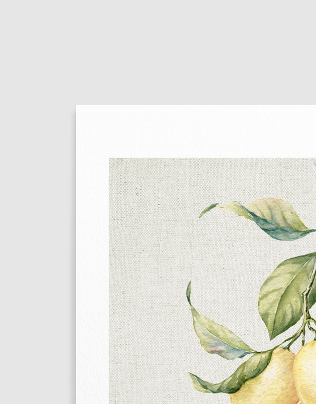 Olive et Oriel - Lemons on Linen II