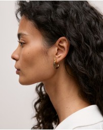 Trenery - Lutra Hoop Earrings in Chocolate