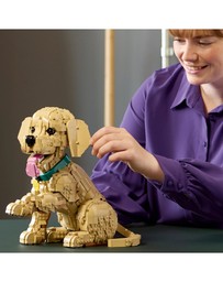 LEGO - 11384 Golden Retriever Puppy