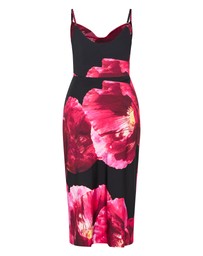 City Chic - Mariana Print Dress