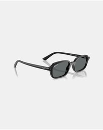 Ray-Ban - RB4455