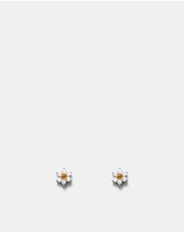 MIMCO - Flora Mini Stud Earrings