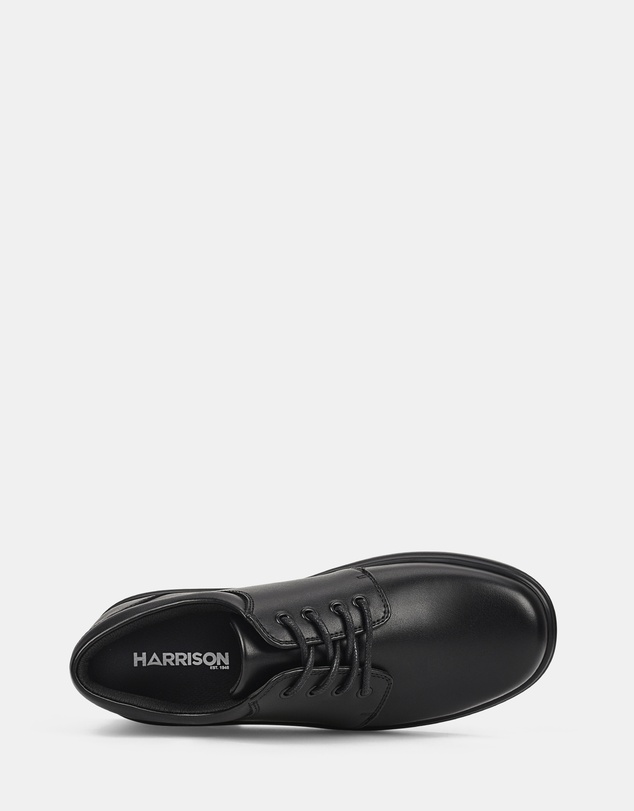 Harrison - Ilia