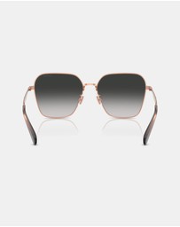 Coach - CW189