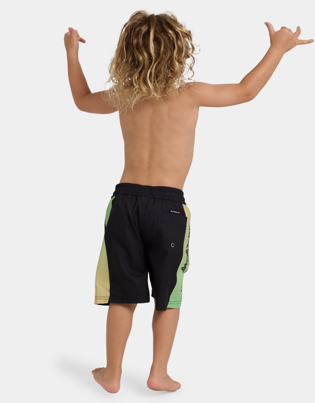 Quiksilver - Boys 2 to 7 Everyday Holmes 13