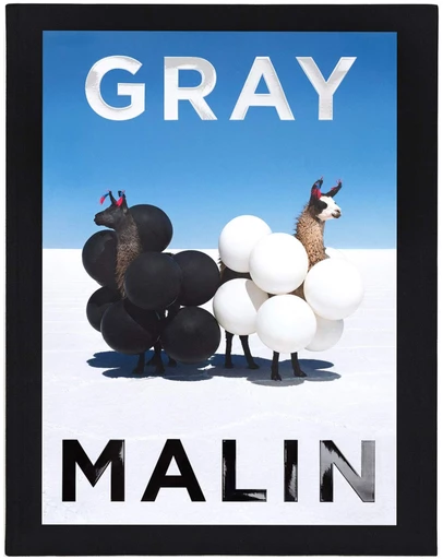 Brumby Sunstate - Gray Malin