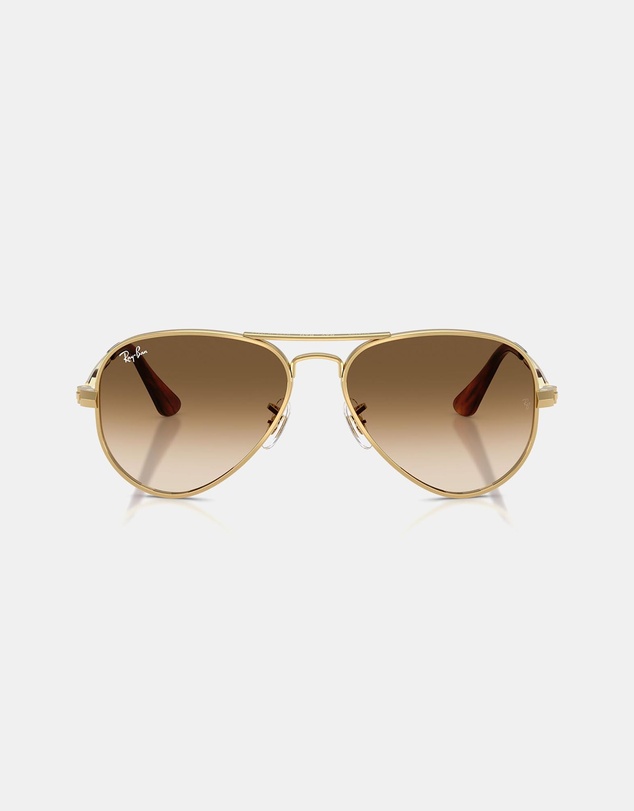 Ray-Ban - Aviator Max 0RB3925