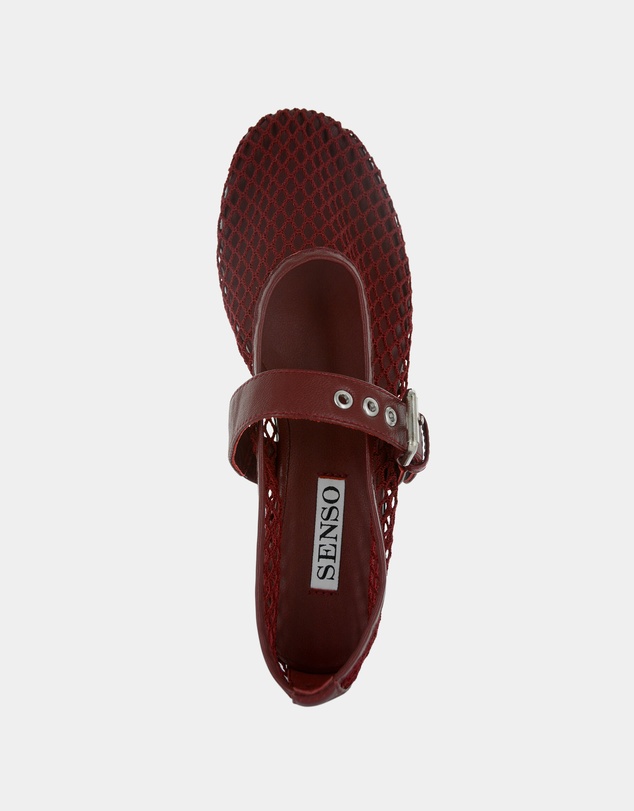 Senso - Carina