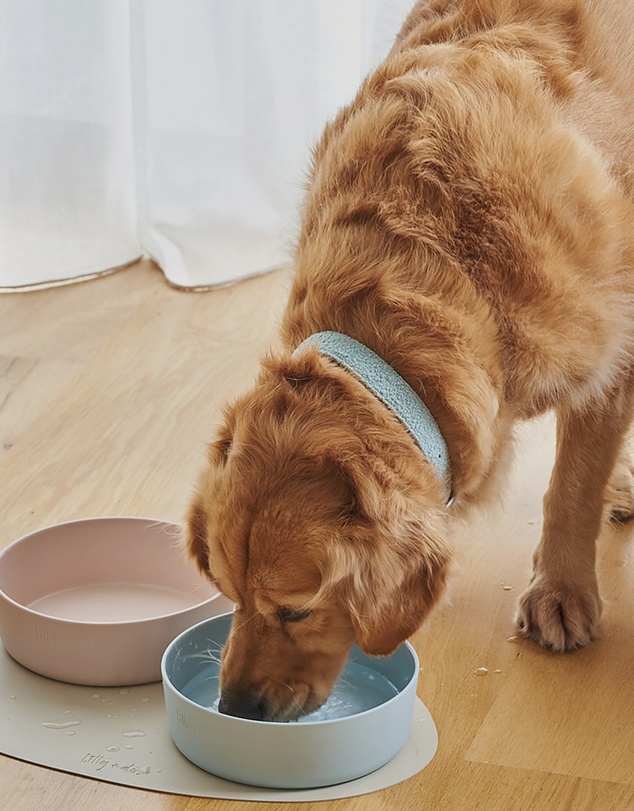 Lilly + Dash - Dog Food Water Ceramic Bowl
