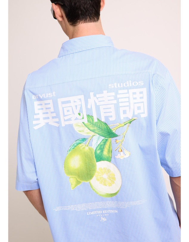 Arvust - Honolulu Cropped Shirt